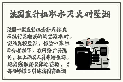 《年轻的小婊孑2》