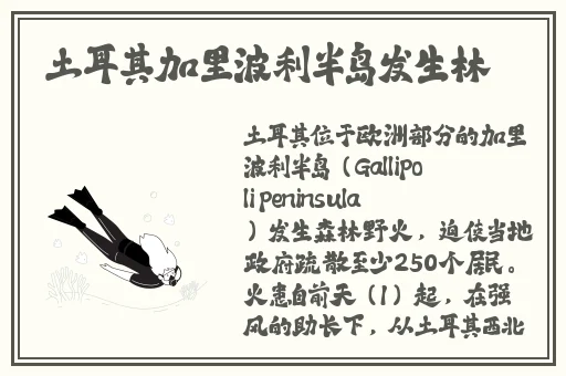 大象传媒2023年人口